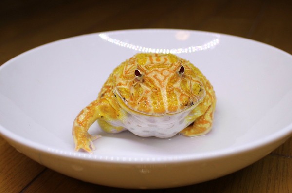 no title