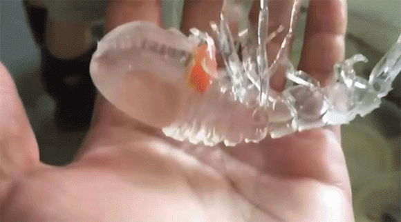 no title