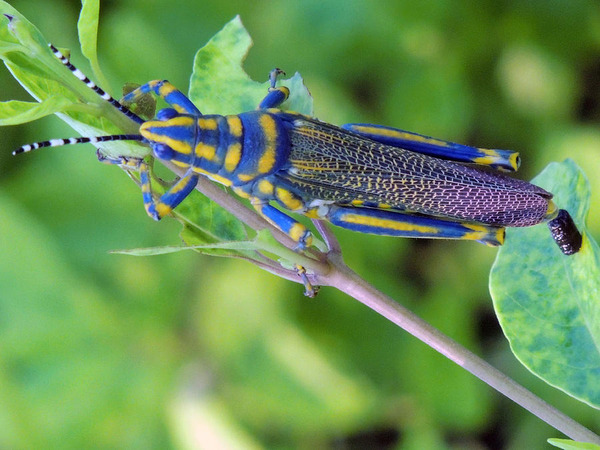 no title