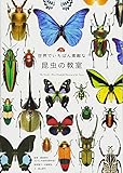 世界でいちばん素敵な昆虫の教室 (世界でいちばん素敵な教室)