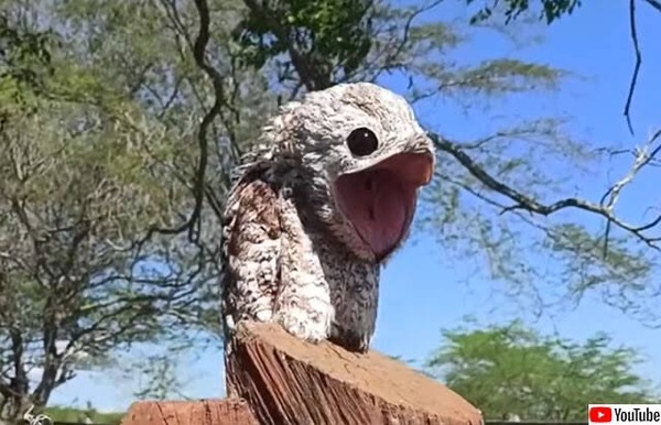 no title