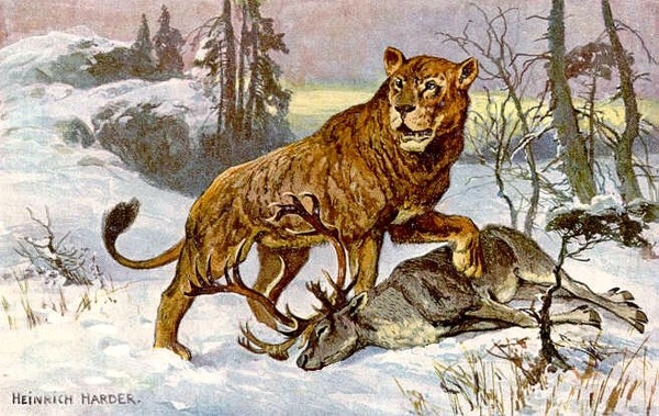 Hoehlenloewe_CaveLion_hharder