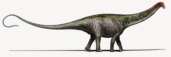 l_sk_brontosaurus_02